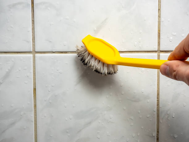 Best Emergency Mold Remediation in Slinger, WI