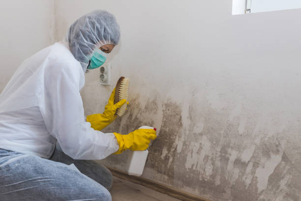 Best Mold Testing and Inspection Services in Slinger, WI